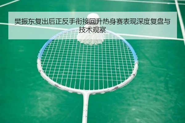 樊振东复出后正反手衔接回升热身赛表现深度复盘与技术观察